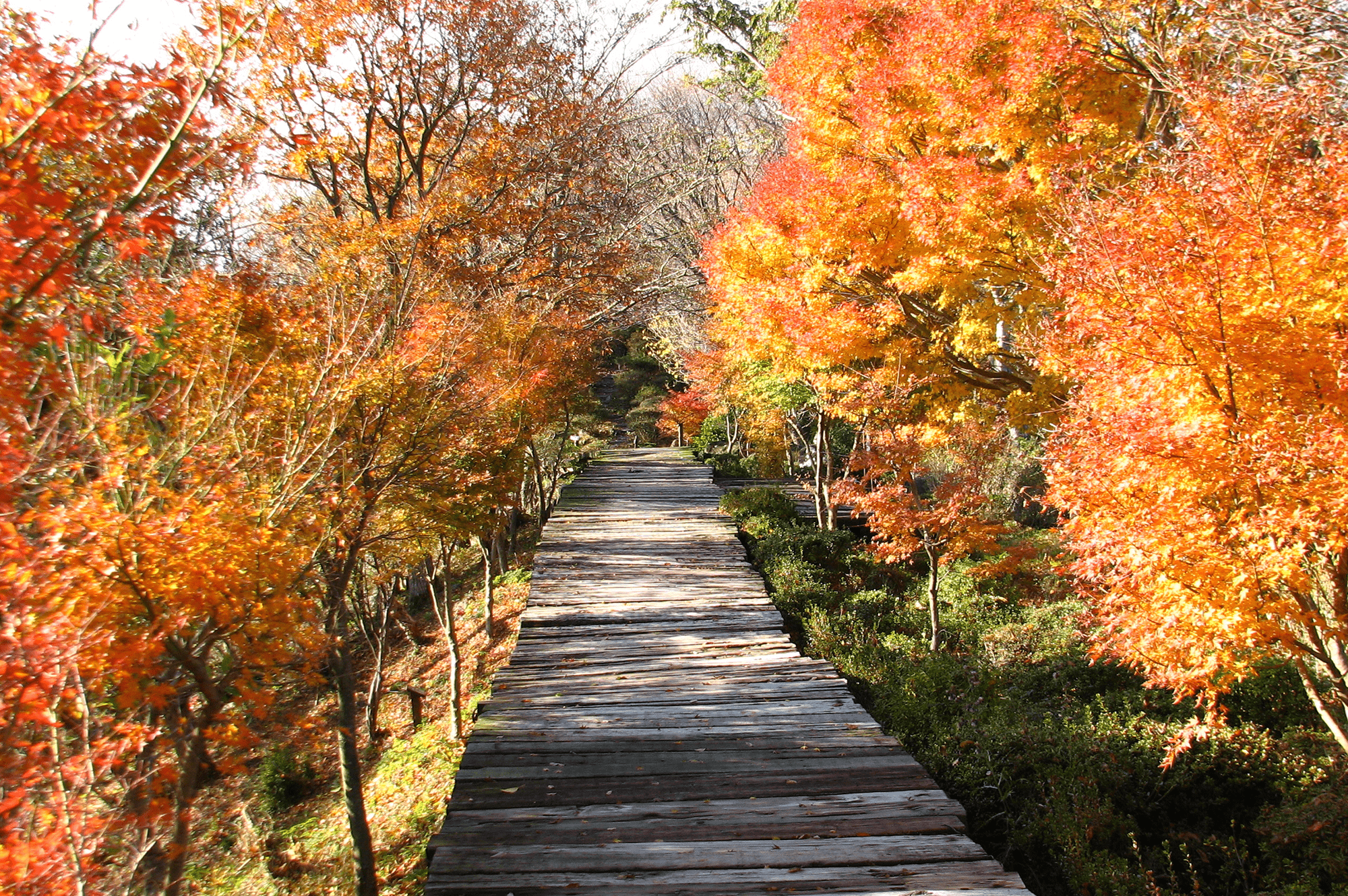 Four seasons at Panorama Park01