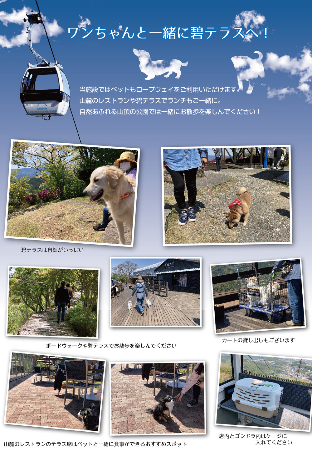 ワンちゃんと一緒に碧テラスへ 自然と絶景を楽しみながらお散歩 伊豆パノラマパーク 碧テラス 富士山と駿河湾を望む絶景山頂リゾート ワンちゃんと一緒に碧テラスへ 自然と絶景を楽しみながらお散歩 伊豆パノラマパーク 碧テラス 富士山と駿河湾を望む絶景山頂リゾート