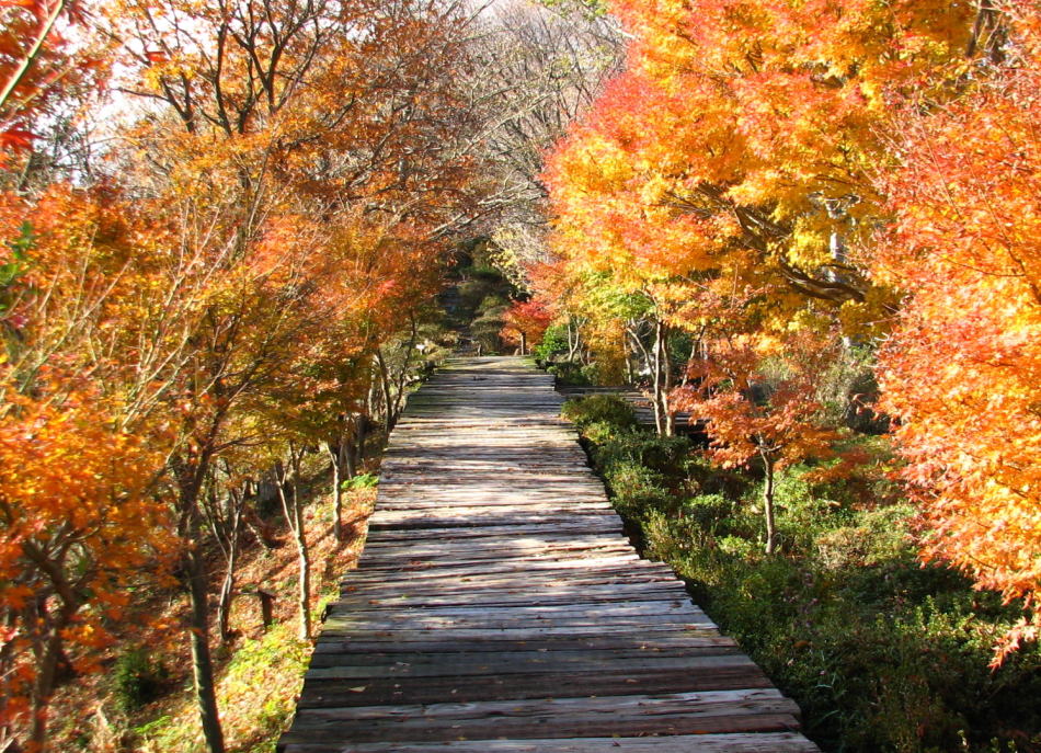 Four seasons at Panorama Park